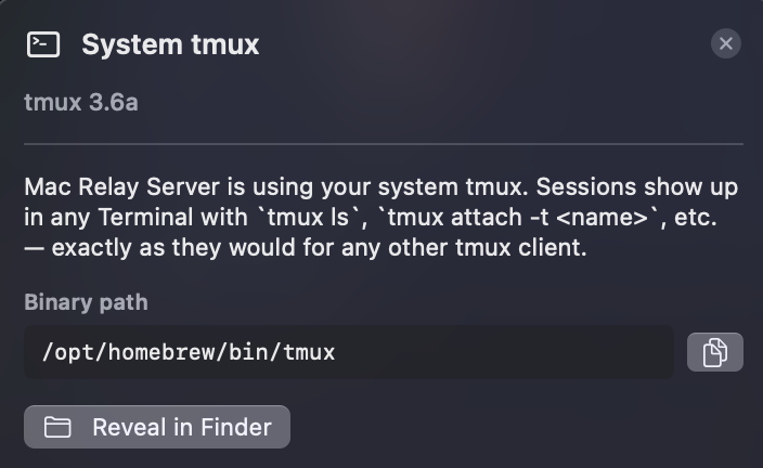 System tmux popover — explains that Mac Relay Server is using your system tmux at /opt/homebrew/bin/tmux and that sessions show up in any Terminal with tmux ls.